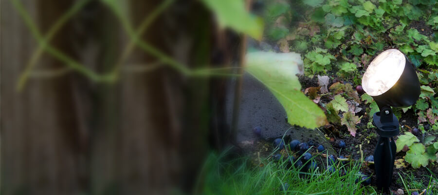 Tuinspots Tuinspots